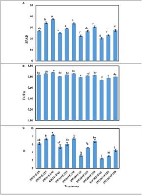 Impact of Folic Acid in Modulating Antioxidant Activity, Osmoprotectants, Anatomical Responses, and Photosynthetic Efficiency of Plectranthus amboinicus Under Salinity Conditions